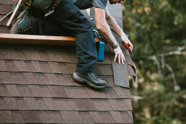 Best Emergency Roof Repair Services  in USA